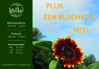 De Wieckse advertentie 3 (1).jpg